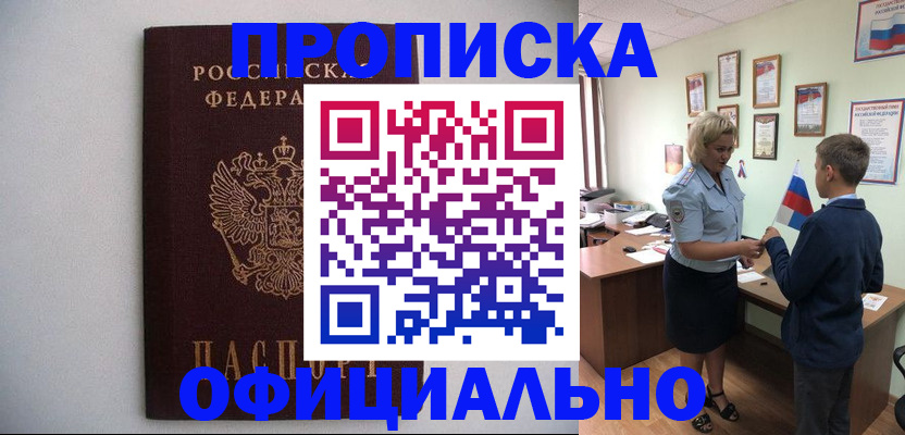 временная регистрация поиск в Раменском